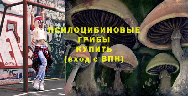 2c-b Верея