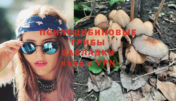 apvp Верхний Тагил