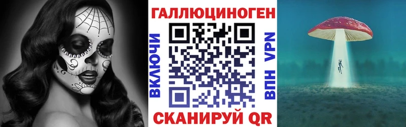 Псилоцибиновые грибы Psilocybe  Купить  Верея 